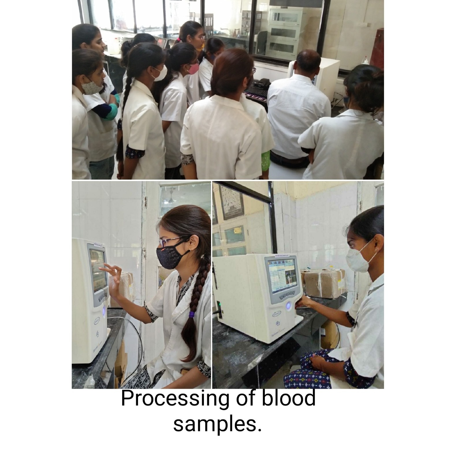 Processing Of Blood Samples